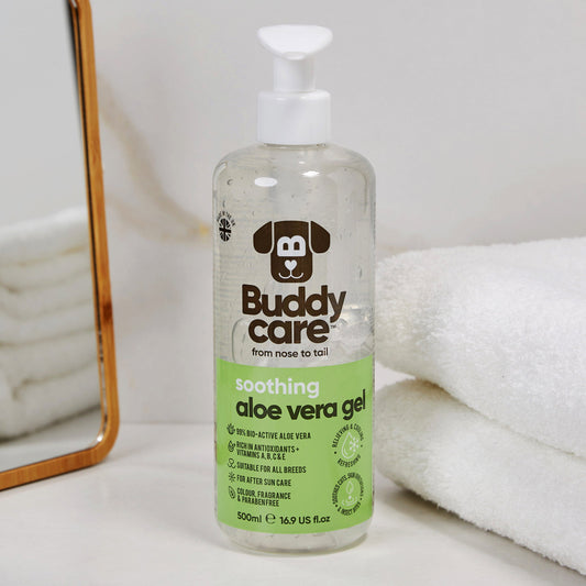 Buddycare Aloe Vera Gel 500ml