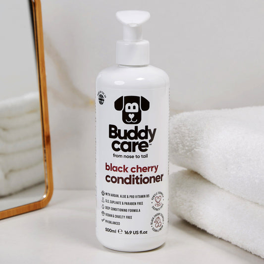 Buddycare Condition Black Cherry 500ml
