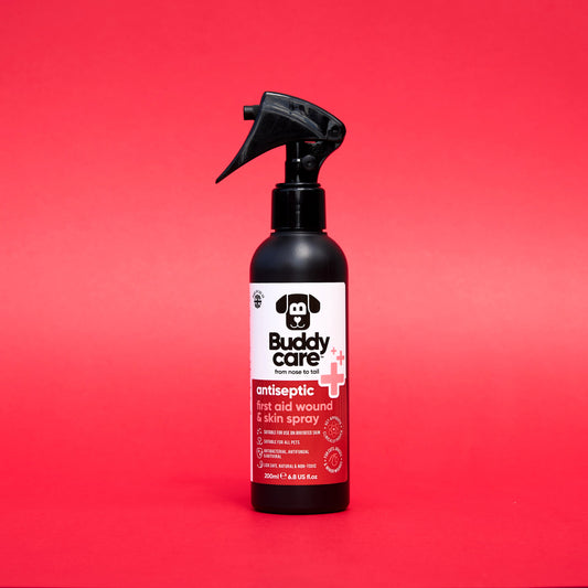 Buddycare Antiseptic Spray First Aid 200ml