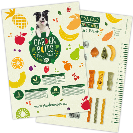 Garden Bites POS - Fruity Scan Card