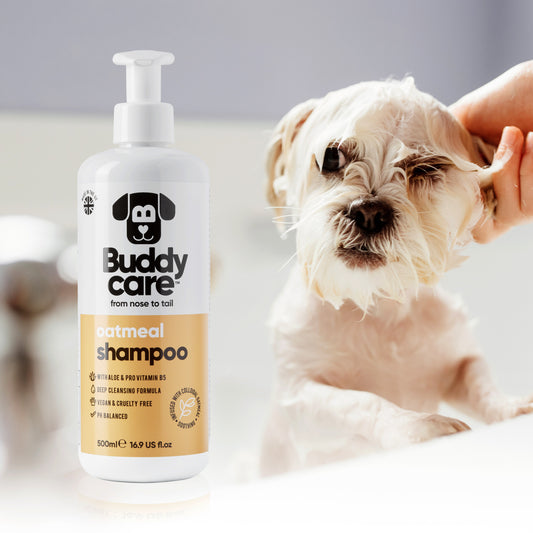 Buddycare Condition Oatmeal 500ml