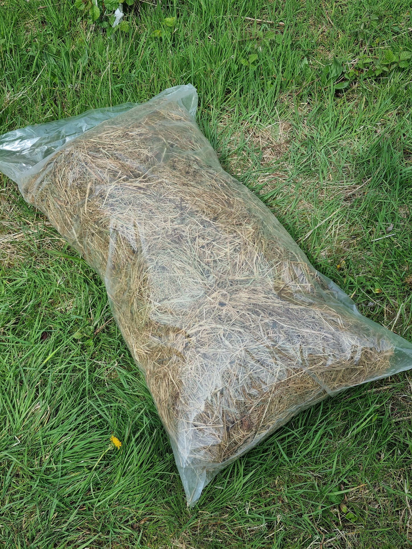 Loose Large Hay SINGLE