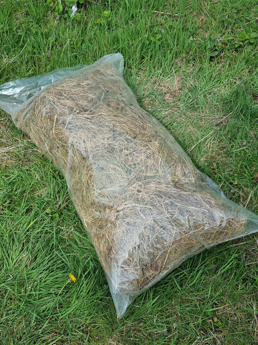 Loose Large Hay SINGLE