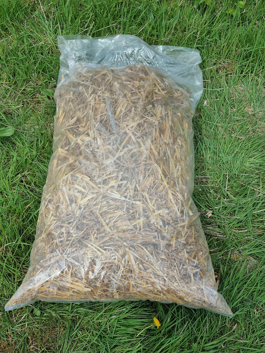 Loose Large Straw SINGLE