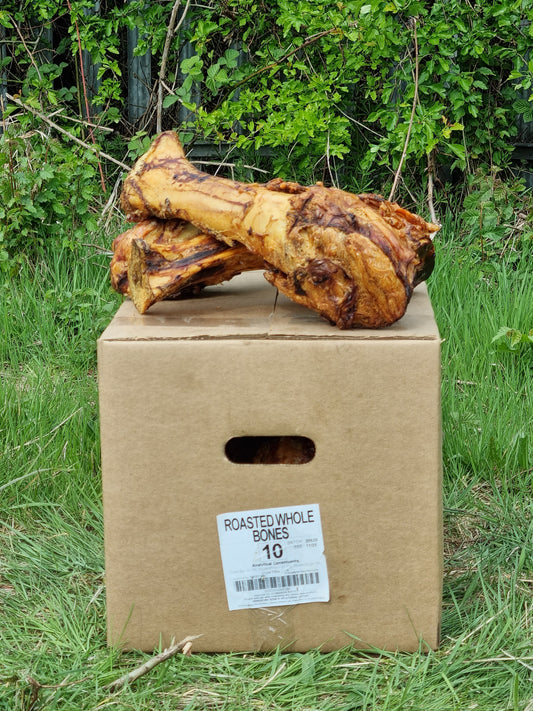 Whole Roast Bones (Jurassic) x 10