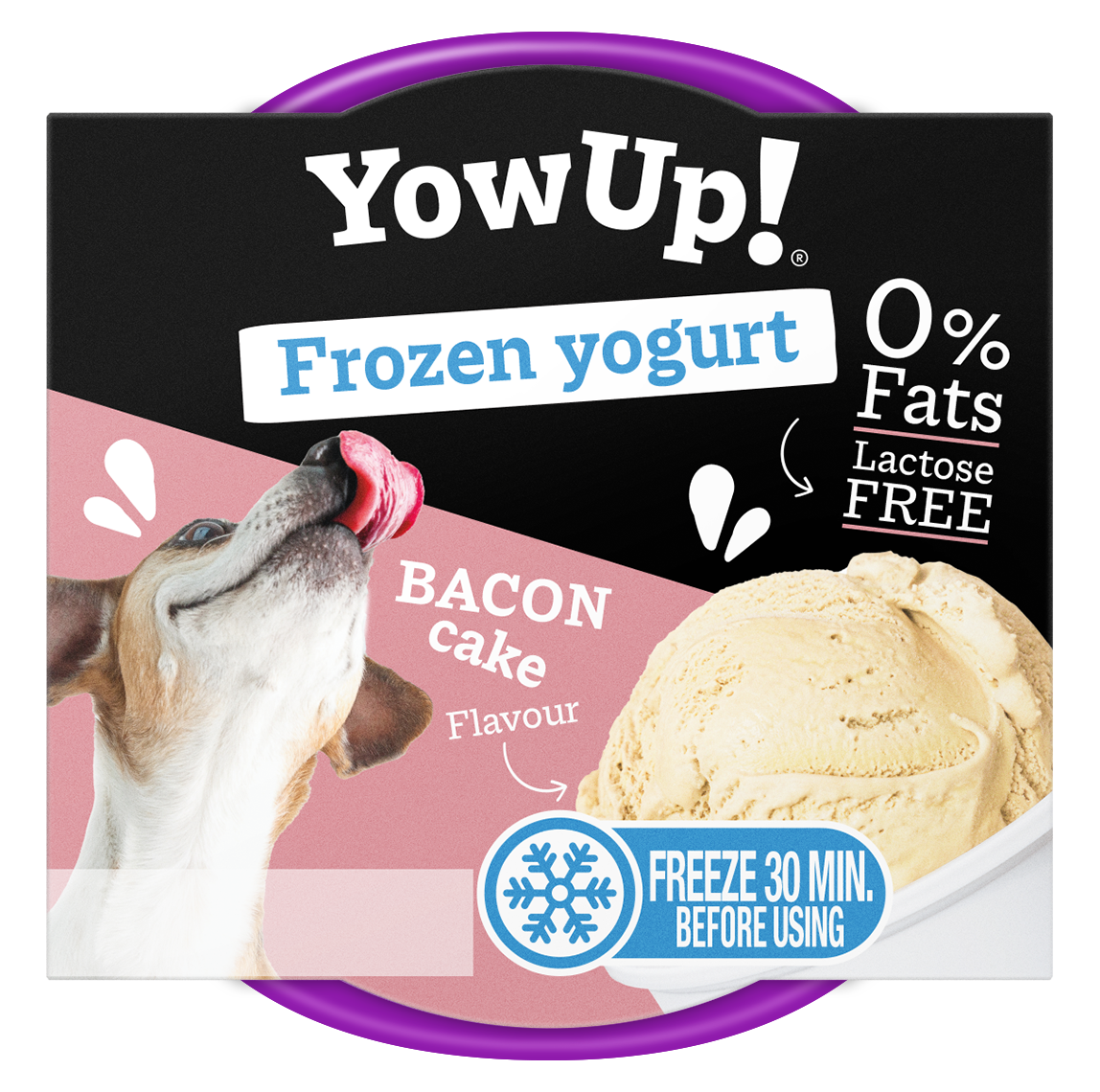 YowUp Ice Cream Yogurt Bacon Cake 110g 12 pack