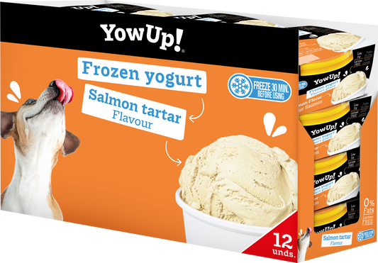 YowUp Ice Cream Yogurt Salmon Tartar 110g 12 pack