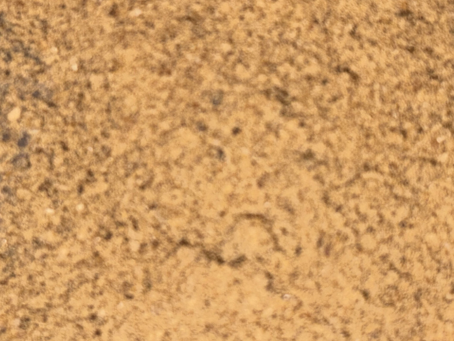 Fish Meal 25kg