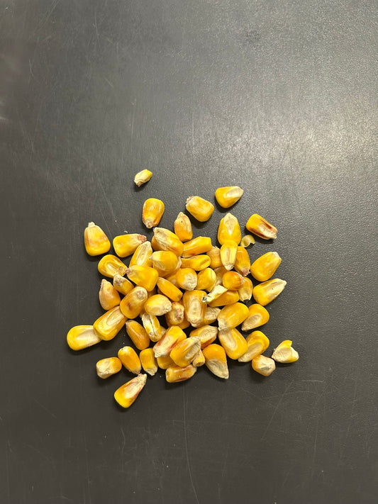 Maize 20kg